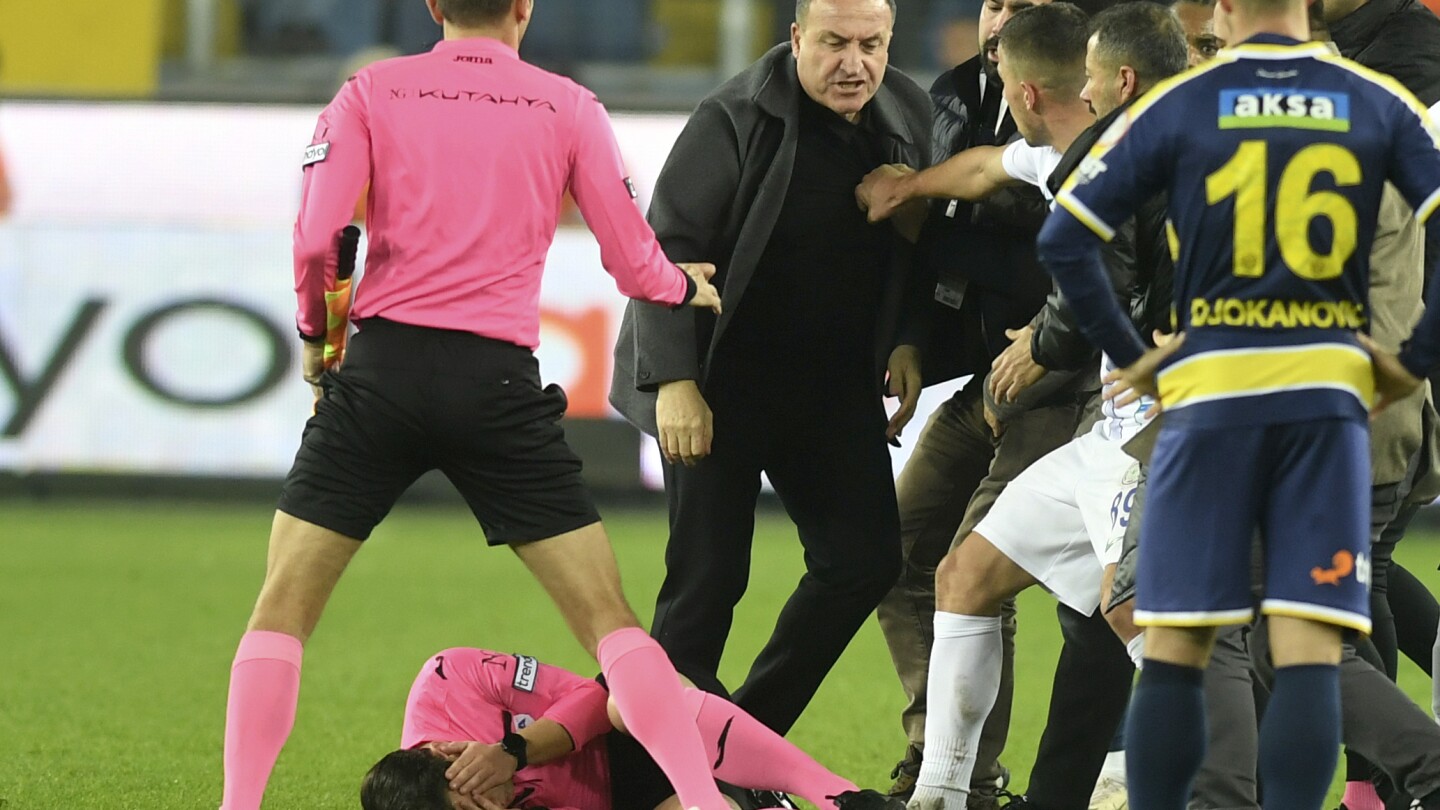 L'ancien président d'un club turc libéré sous caution après avoir frappé un arbitre lors d'un match de championnat