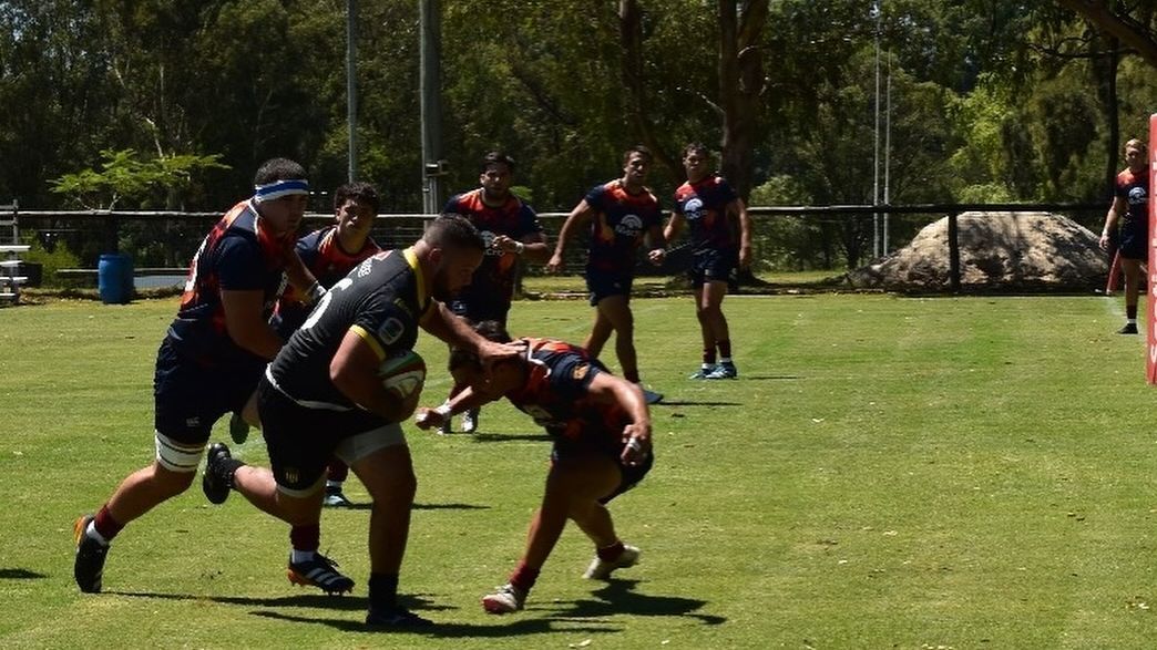 Pampas a battu Peñarol 47-28 dans un amical pour les Super Rugby Americas