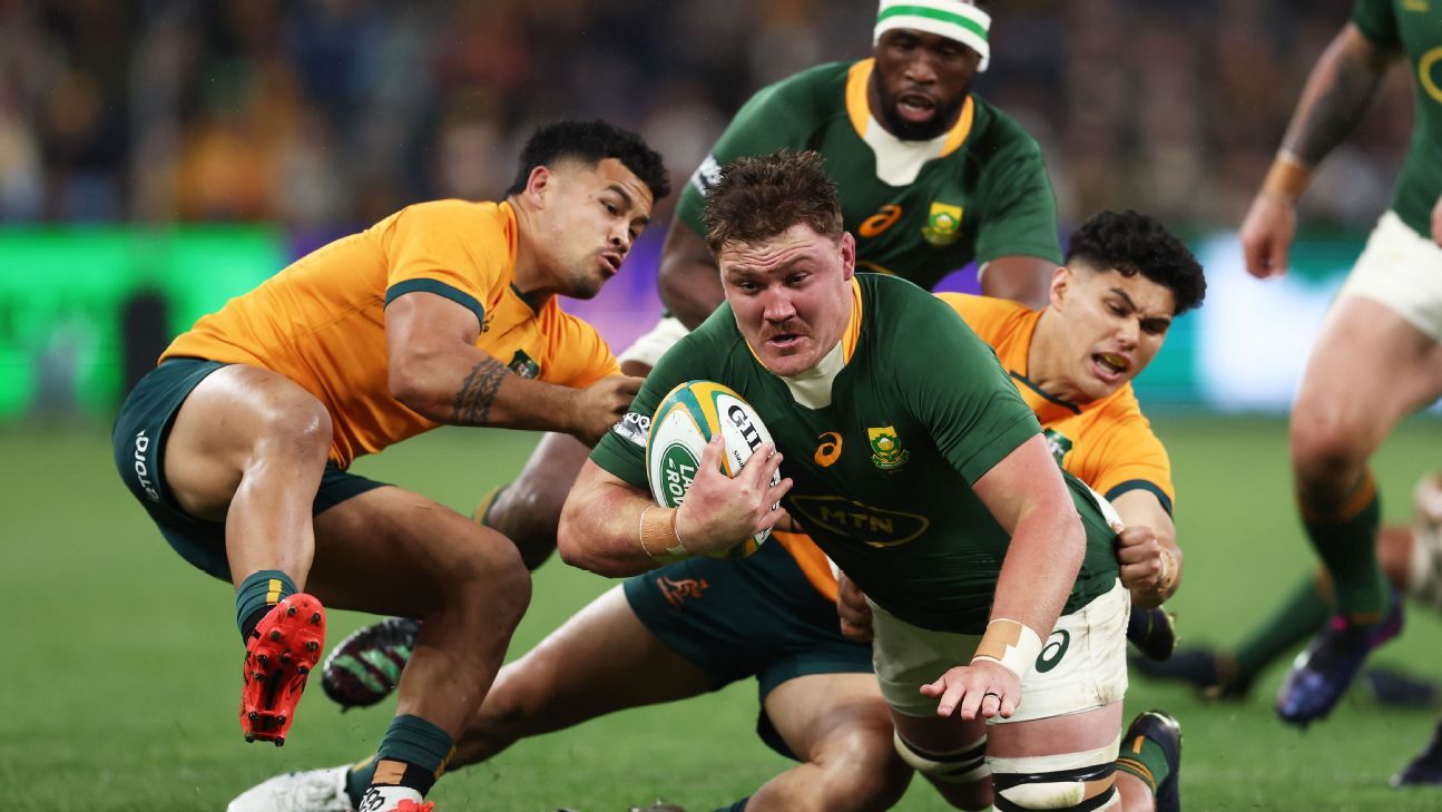 Championnat de rugby: histoire entre Springboks et Wallabies