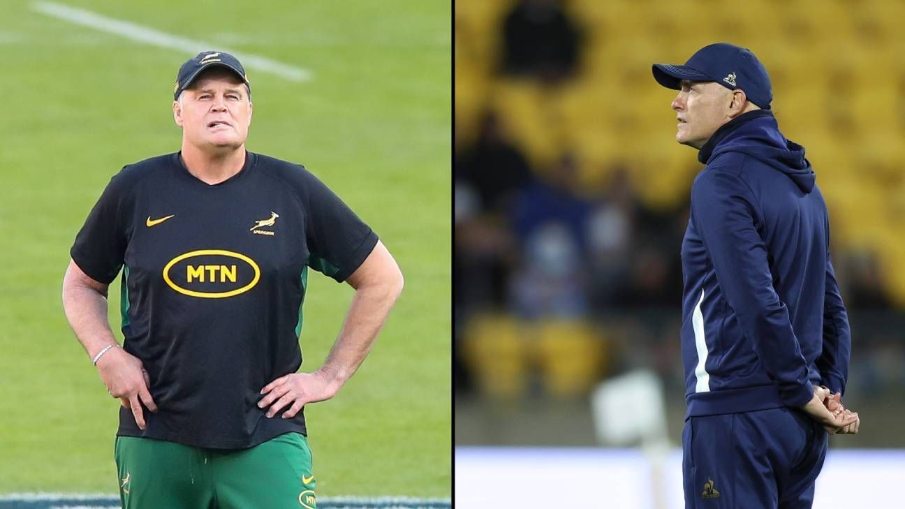 Contipomi: Ce qui attend de l'Afrique du Sud et pourquoi Rassie Erasmus est un technicien «admirable»