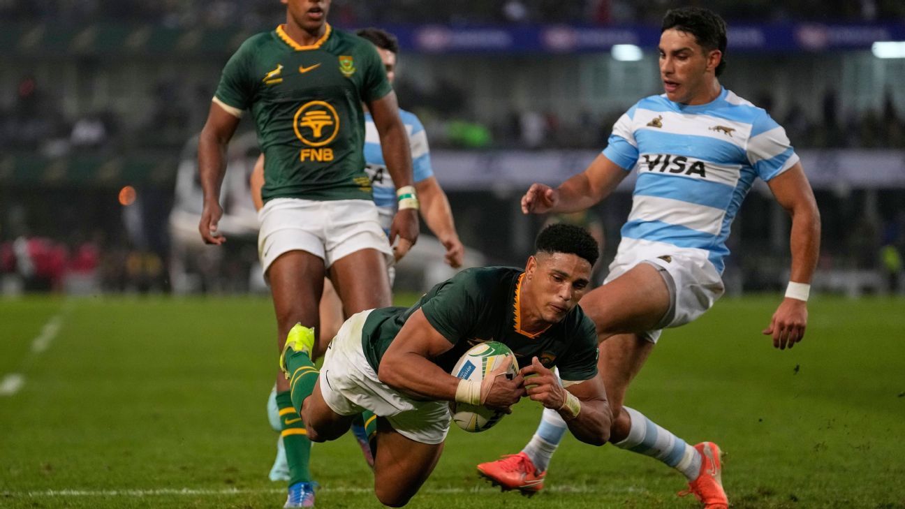 Sacha Feinberg-Mngomezulu a joué un match contre Los Pumas et a battu un record d'Afrique du Sud